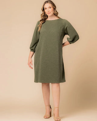 Madison Sweater Knit Shift Dress in Forest Green